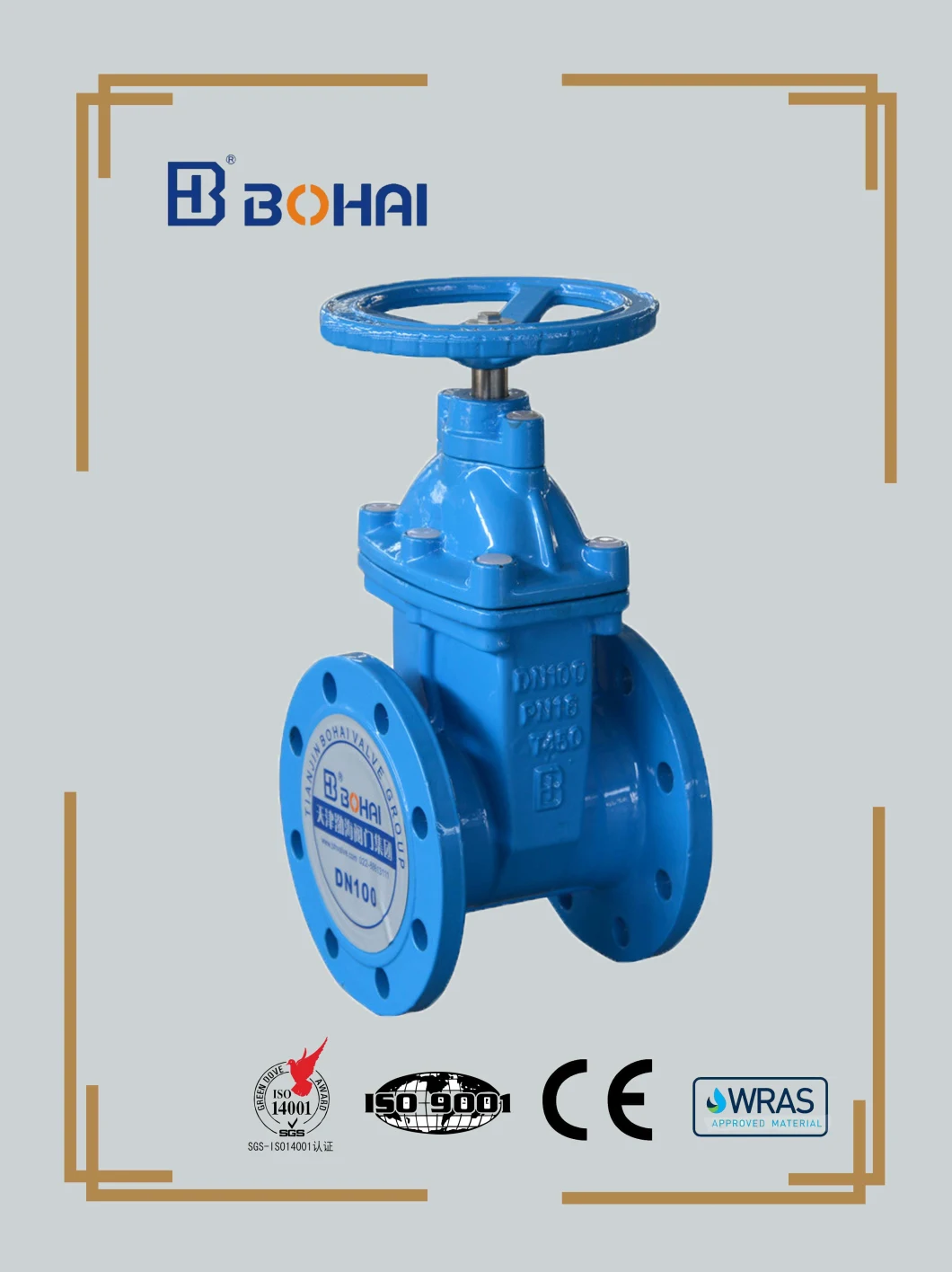 Ductile Iron/Wcb/Stainless Steel Non Rising O&Y Resilient Seated Industrial Control Gate Valve