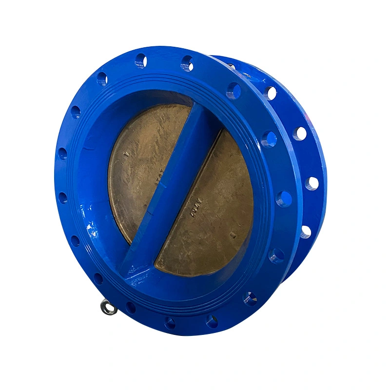 DN100-DN500 Swing Type Wafer Check Valve