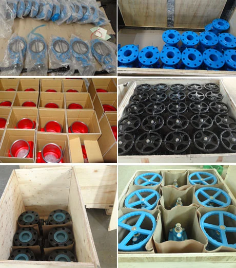 Wafer/Lug/Swing/Grooved End Flanged Type Cast Iron/Stainless Steel Butterfly/Check/Ball Valve for Water Fire Fighting
