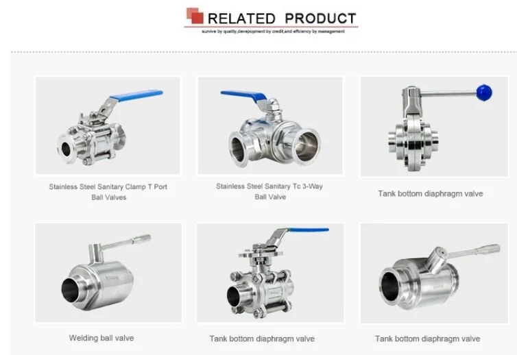 Sanitary Stainless Steel SS304/SS316L Clamped Three-Way (Square) Ball Valve &amp; Globe Valve