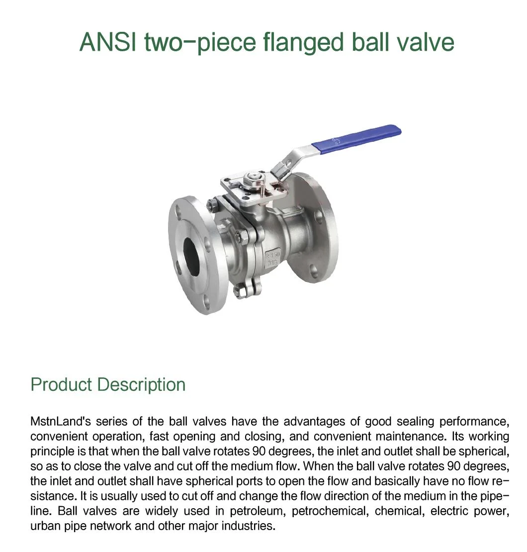 ANSI Two-Piece Flanged Floating Ball Valve DN 15-DN 200