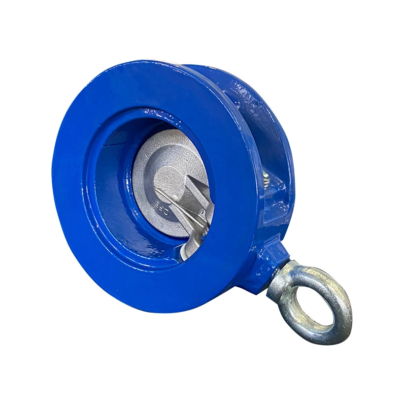 DN100-DN500 Swing Type Wafer Check Valve
