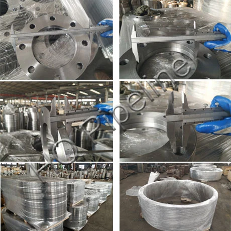 Forged Carbon Steel Stainless Steel Pipe Flanges