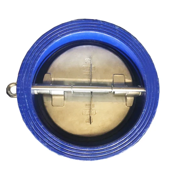 DIN3202 Double Plate Wafer Check Valve Butterfly Valve Pn 10/Pn16 with Spring for Marine and Industry