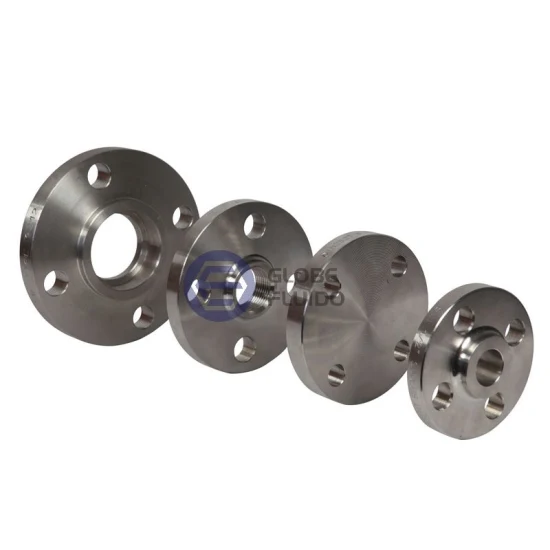 Ring Type Joint Rtj Flanges in Carbon Steel and Stainless Steel