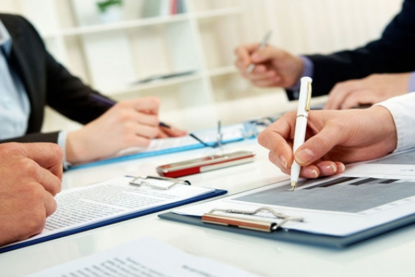 Sunflower Garden Group